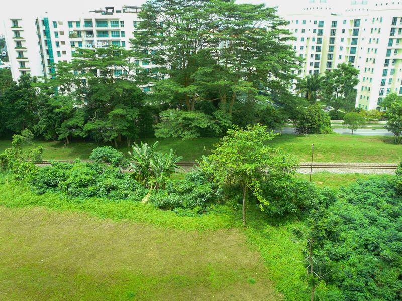 The Raintree, 91 Bukit Drive, 3 Bedrooms, 1,389 sqft, Condominium For Rent, by Jayden Chen, 25042804 - PropertyGuru.com.sg