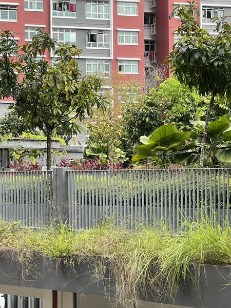 438B Bukit Batok West Avenue 8, 438B Bukit Batok West Avenue 8, 1 Bedroom, 505 sqft, HDB Flat For Rent, by Vivien Wong, 25054296 - PropertyGuru.com.sg