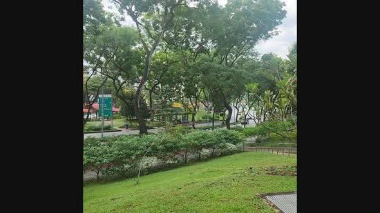 157 Ang Mo Kio Avenue 4, 157 Ang Mo Kio Avenue 4, Ang Mo Kio / Bishan / Thomson, 1,625 sqft, Shop / Shophouse For Sale, by Ice Leong, 25065452 - CommercialGuru.com.sg