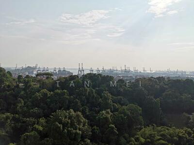 For Sale - Normanton Park