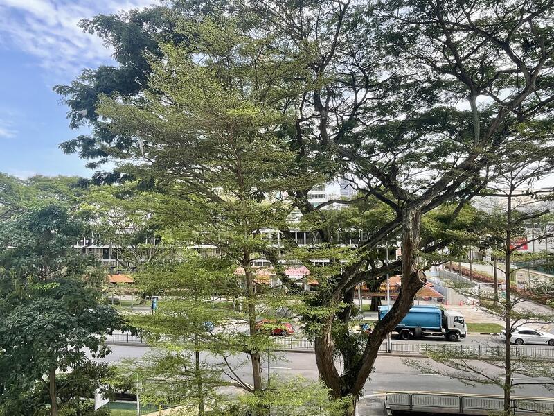 79B Toa Payoh Central, 79B Toa Payoh Central, 3 Bedrooms, 969 sqft, HDB Flat For Rent, by Lydia Yee, 25073933 - PropertyGuru.com.sg