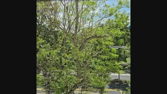 West Bay Condo, 54 West Coast Crescent, Buona Vista / West Coast / Clementi New Town, 2 Bedrooms, 893 sqft, Condominium For Sale, by James Chua, 25082067 - PropertyGuru.com.sg