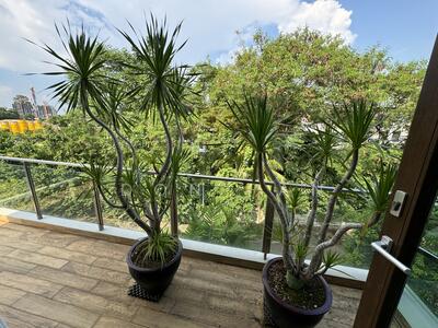 For Rent - Mun Wah Garden