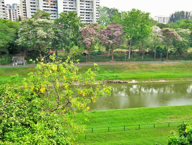 Sunset Lodge, 25 - 25C Sunset Close, 2 Bedrooms, 1,076 sqft, Walk-up Apartment For Rent, by HT Lee, 25086173 - PropertyGuru.com.sg