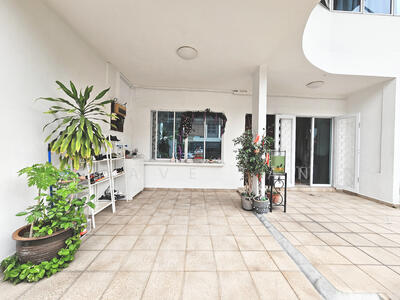 For Sale - ⭐ D19 Kovan Freehold Corner Terrace, Kovan Rd, Highland Rd, Flower Rd⭐