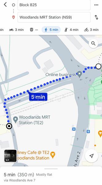 For Rent - 825 Woodlands Street 81