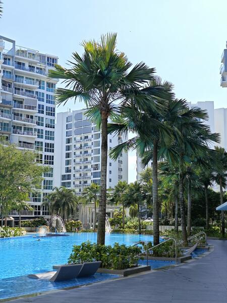 1 Canberra, 15 Canberra Drive, Sembawang / Yishun, 3 Bedrooms, 947 sqft, Executive Condominium For Rent, by Kim Tan, 25093077 - PropertyGuru.com.sg