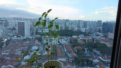 For Rent - The Plaza