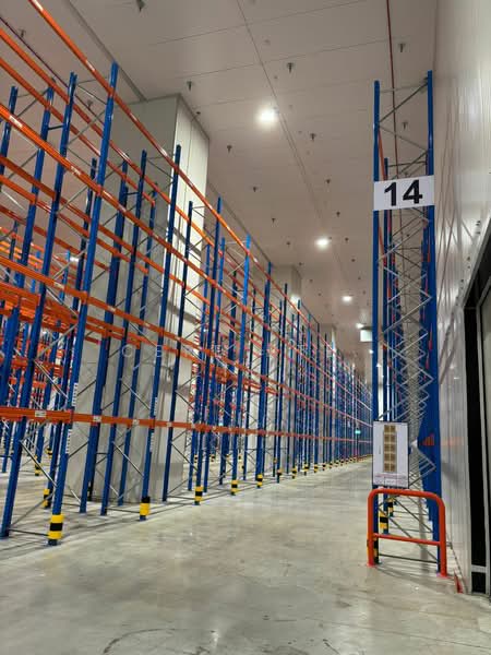 8 Jalan Besut, , 44,366 sqft, Factory / Workshop (B2) For Rent, by CHERIE CHAN JIAMIN, 25096984 - CommercialGuru.com.sg