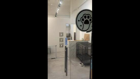 East Village, 430 Upper Changi Road, 226 sqft, Mall Shop For Rent, by Ng Teck Chuan, 25100137 - CommercialGuru.com.sg