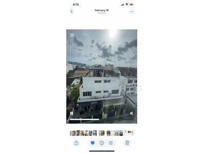 For Sale - Sycamore Tree