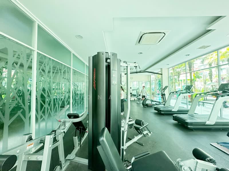 For Rent - The Raintree