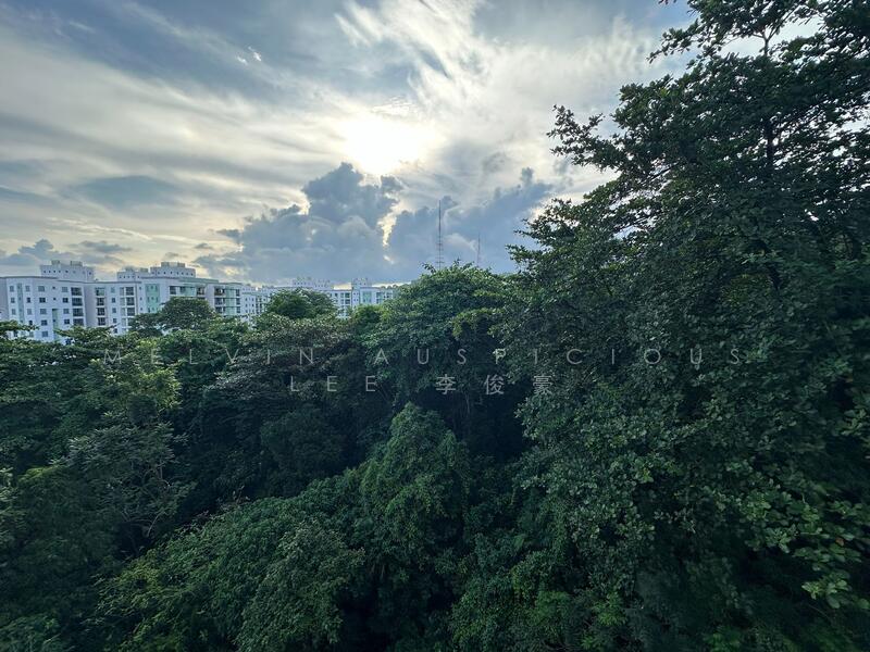 The Raintree, 87 Bukit Drive, 4 Bedrooms, 1,389 sqft, Condominium For Rent, by Melvin Auspicious Lee 李俊豪, 25104691 - PropertyGuru.com.sg