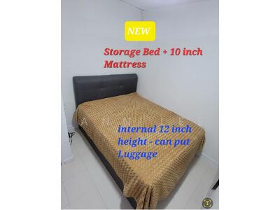 For Rent - 37 Circuit Road