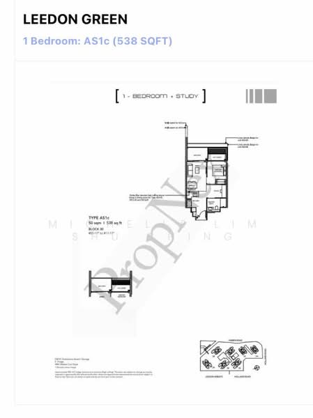 Leedon Green, 30 Leedon Heights, 1 Bedroom, 538 sqft, Condominium For Rent, by Michelle Lim Shu Ching, 25113411 - PropertyGuru.com.sg