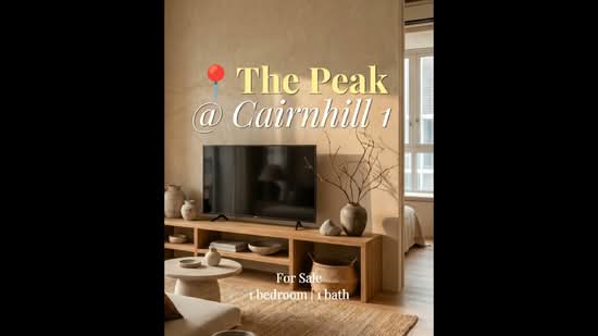 The Peak @ Cairnhill I, 51 Cairnhill Circle, 1 Bedroom, 527 sqft, Condominium For Sale, by Darryl Tan, 25113431 - PropertyGuru.com.sg