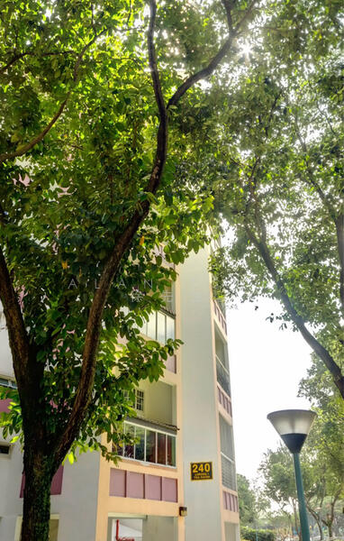 240 Lorong 1 Toa Payoh, 240 Lorong 1 Toa Payoh, Room Rental, 180 sqft, HDB Flat For Rent, by Alan Tsui 徐先生, 25117424 - PropertyGuru.com.sg