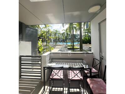 For Sale - Skies Miltonia