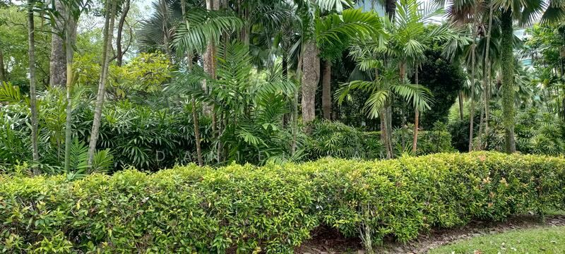 Freehold Landed D15 D16 Cluster House, , Studio, 44,000 sqft, Detached House For Sale, by Daniel Kam 甘囯財, 25121440 - PropertyGuru.com.sg