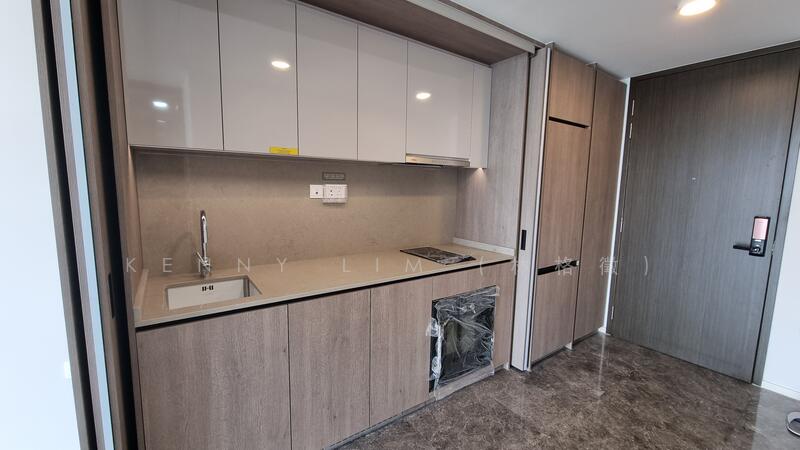Avenue South Residence, 13 Silat Avenue, 1 Bedroom, 527 sqft, Condominium For Rent, by Kenny Lim (林格徵), 25127108 - PropertyGuru.com.sg