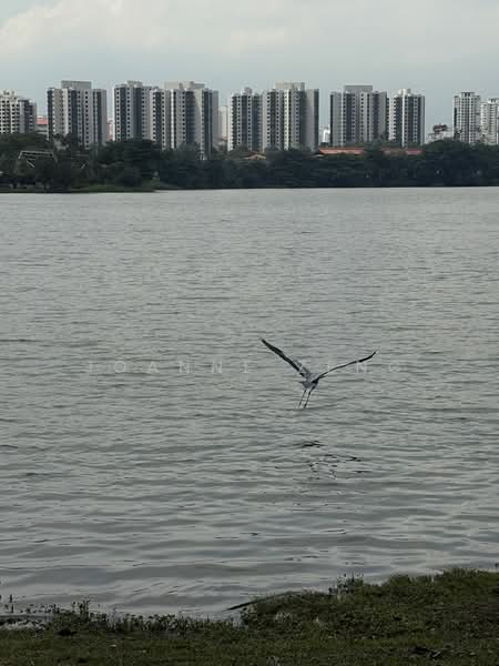 Lakepoint Condo, 10 Lakepoint Drive, Room Rental, 160 sqft, Condominium For Rent, by Joanne Zeng, 25129016 - PropertyGuru.com.sg