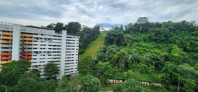 For Sale - 39 Telok Blangah Rise