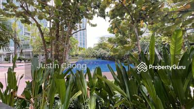 For Sale - One Amber