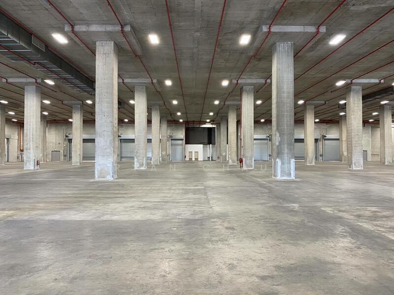 Dedicated Floor 17 Bays 8m Clear East, East, 85000 sqft