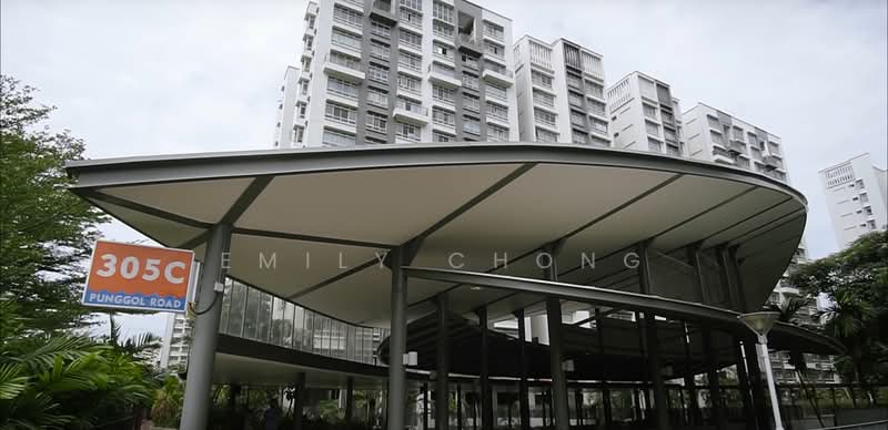 305B Punggol Road, 305B Punggol Road, 3 Bedrooms, 1,033 sqft, HDB Flat For Sale, by Emily Chong, 25142290 - PropertyGuru.com.sg