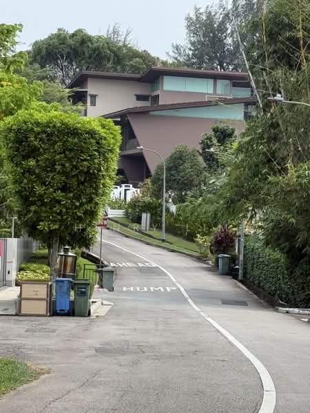 Brizay Park, Brizay Park/Garlick Avenue/Bukit Timah, Tanglin / Holland / Bukit Timah, 7 Bedrooms, 8,000 sqft, Good Class Bungalow For Sale, by Henry Lim, 25142633 - PropertyGuru.com.sg