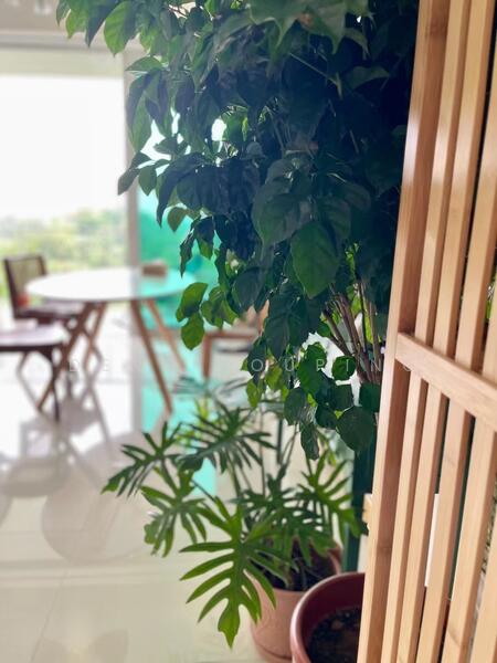 For Rent - Tree House