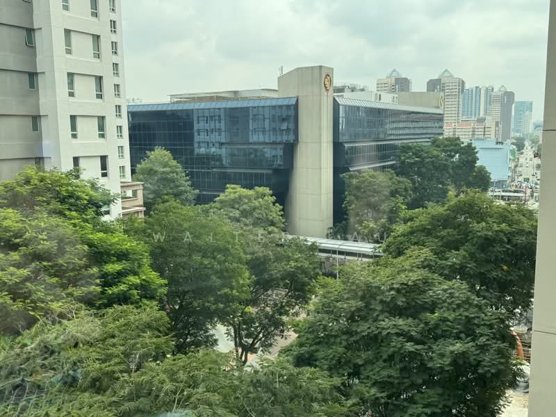 The Bencoolen, 180B Bencoolen Street, Beach Road / Bugis / Rochor, 754 sqft, Office For Rent, by Walter Lau, 25143363 - Greenery view from unit window - CommercialGuru.com.sg