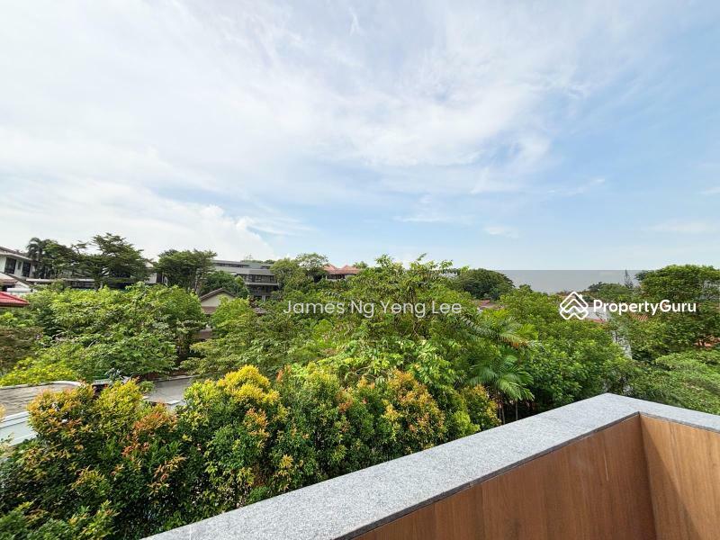 For Sale - Brand New Bungalow. 1km Nanyang Primary School. 地十 邮 区，独立洋 房 打折出 售. James Ng 83839800