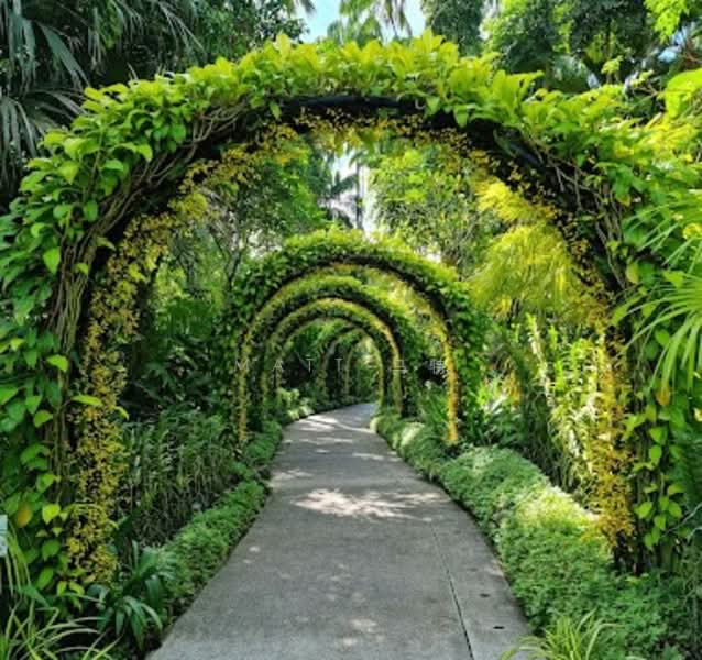 Botanic Garden GCB, Cluny, Dalvey, Lermit, Nassim, 5 Bedrooms, 6,800 sqft, Good Class Bungalow For Rent, by MATT 马特, 25147593 - PropertyGuru.com.sg