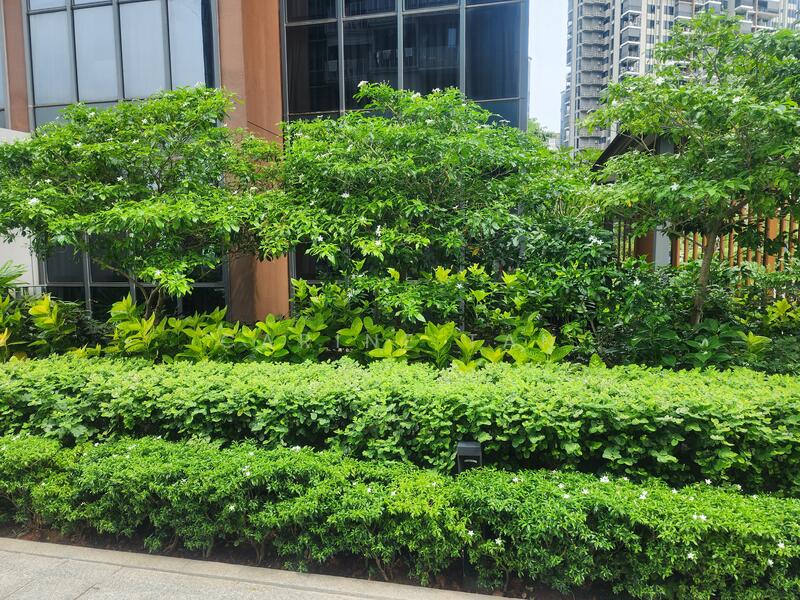 Parc Botannia, 18 Fernvale Street, 1 Bedroom, 431 sqft, Condominium For Rent, by Carine Tan, 25149058 - PropertyGuru.com.sg