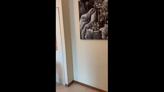 Caspian, 56 Lakeside Drive, 3 Bedrooms, 879 sqft, Condominium For Rent, by John Ho, 25150325 - PropertyGuru.com.sg