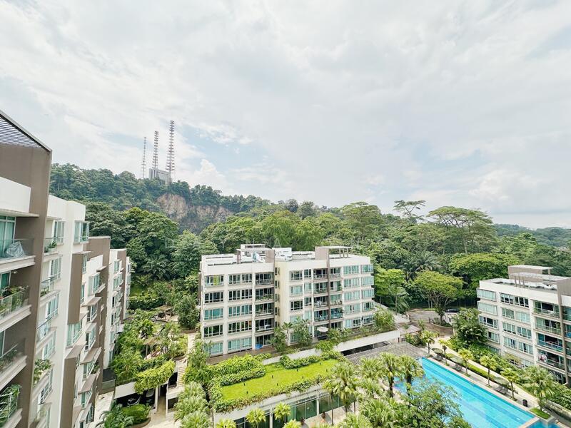 The Raintree for Sale in Singapore
