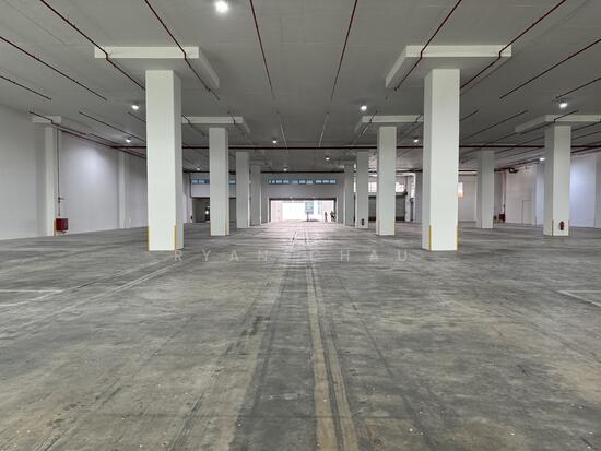 Khám Phá Chuyến Hành Trình Dài 7m - Câu Chuyện Về Những Kỳ Vọng, Thách Thức Và Thành Công Trong Đời Sống