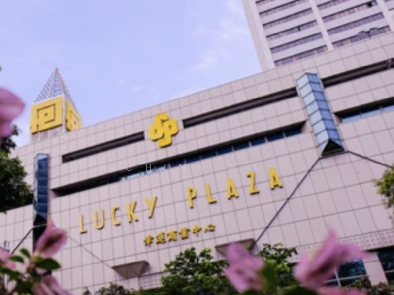Lucky Plaza, 304 Orchard Road, 1,150 sqft, Mall Shop For Sale, by Chinn Ko, 25158774 - CommercialGuru.com.sg