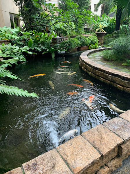Regent Park, 22 Jalan Lempeng, Room Rental, 30 sqft, Condominium For Rent, by Kris Li, 25162850 - PropertyGuru.com.sg