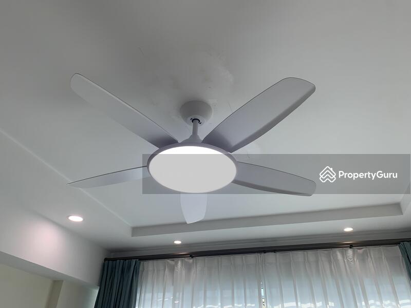 New ceiling light fan 