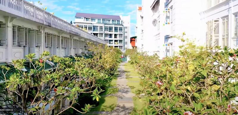 Lotus @ Joo Chiat, 89 Joo Chiat Place, East Coast / Marine Parade, 4 Bedrooms, 1,542 sqft, Apartment For Rent, by Wilfred Chua (蔡先生), 25164512 - PropertyGuru.com.sg