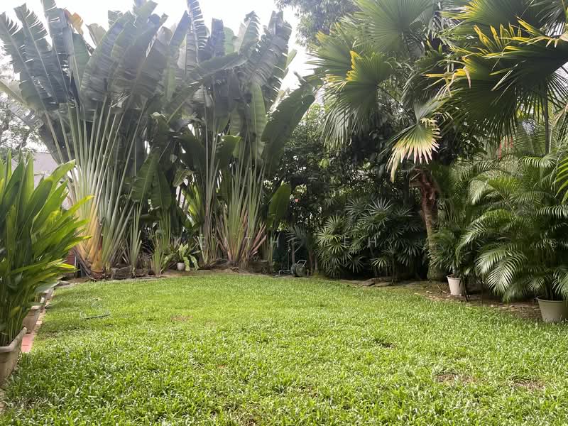 Cosy Semi-detached with plenty of garden space, University road, cluny road , kheam hock, 4 Bedrooms, 2,600 sqft, Semi-Detached House For Rent, by Keith Teh, 25166783 - PropertyGuru.com.sg