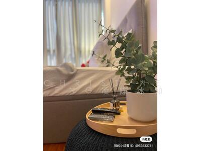 For Rent - The Mezzo