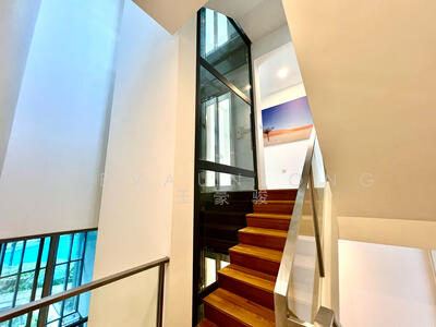 For Sale - SKIES MILTONIA