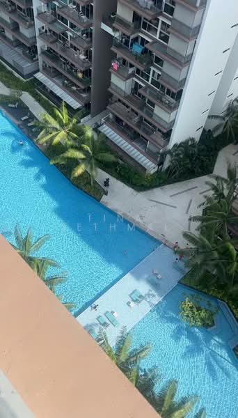 CityLife @ Tampines, 53 Tampines Central 7, Studio, 500 sqft, Executive Condominium For Rent, by Tina Jethmal, 25176754 - PropertyGuru.com.sg