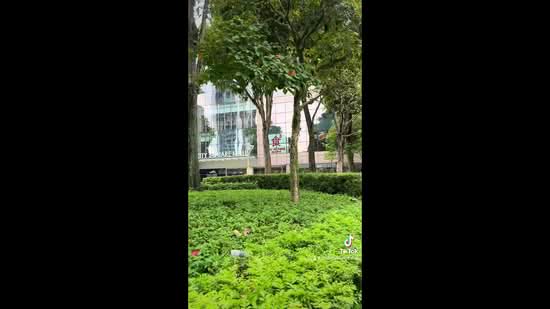 Verdun Road Studio Apartment | Farrer Park MRT | City Square Mall, Verdun Road, Studio, 350 sqft, Apartment For Rent, by Timothy Chew, 25182474 - PropertyGuru.com.sg