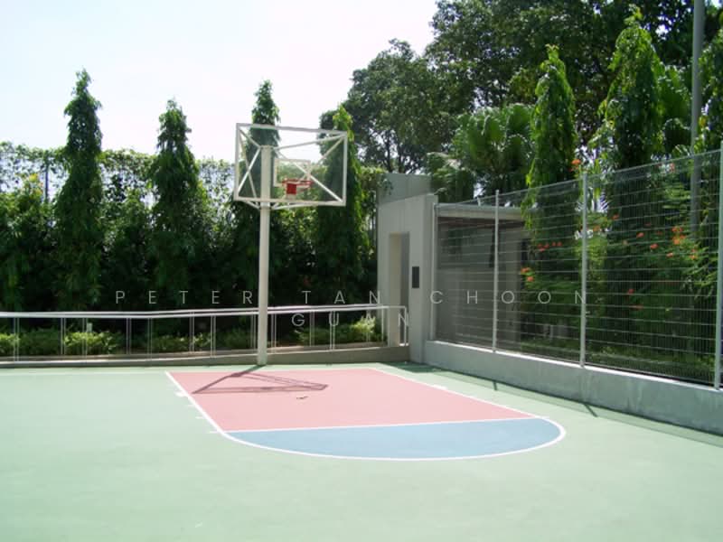 The Lakeshore, 33 Jurong West Street 41, Boon Lay / Jurong / Tuas, 2 Bedrooms, 990 sqft, Condominium For Rent, by Peter Tan Choon Guan, 25189522 - basketball court - PropertyGuru.com.sg
