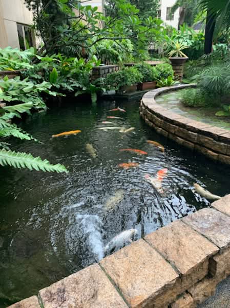 Regent Park, 22 Jalan Lempeng, Room Rental, 220 sqft, Condominium For Rent, by Kris Li, 25189579 - PropertyGuru.com.sg