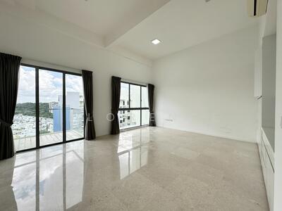 For Sale - Skies Miltonia